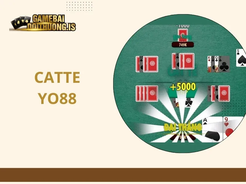 Catte Yo88
