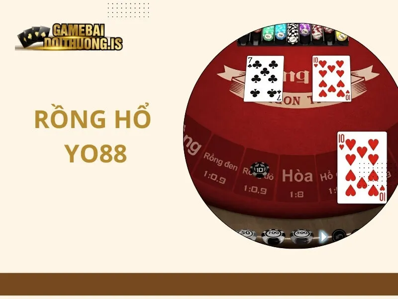 Rồng Hổ Yo88