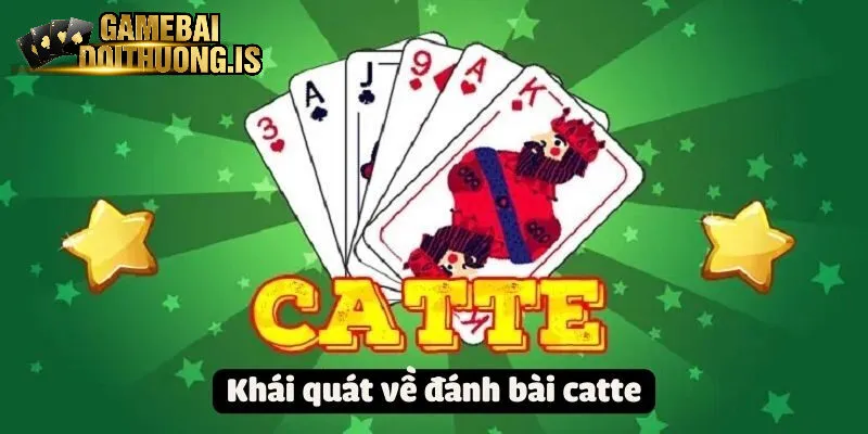 catte nhatvip